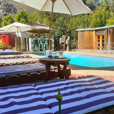 Organica Lodge Hotel Boutique Vicuña 外观 照片
