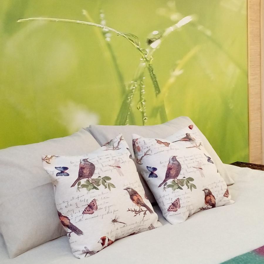 Organica Lodge Hotel Boutique Vicuña 外观 照片
