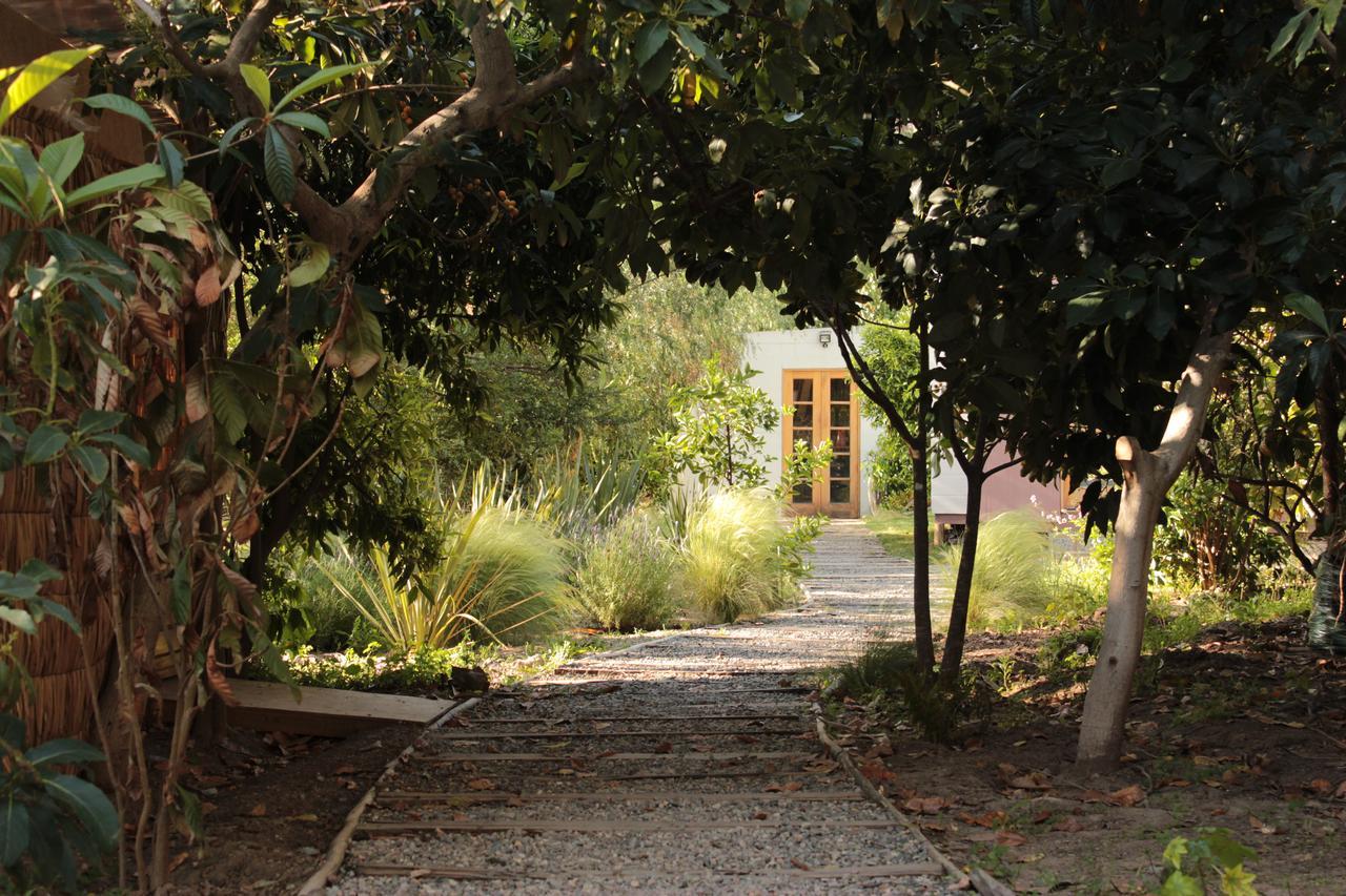 Organica Lodge Hotel Boutique Vicuña 外观 照片
