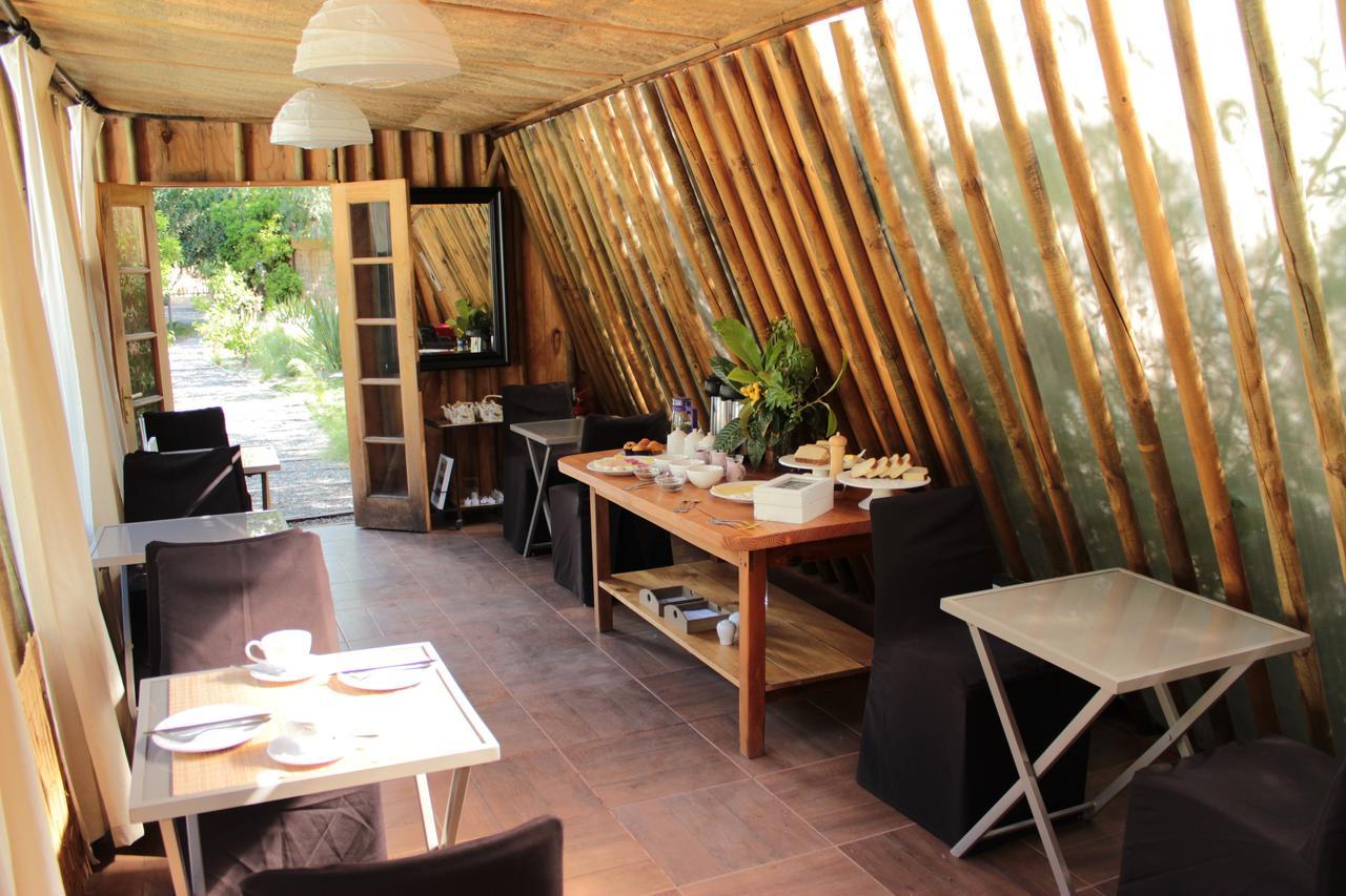 Organica Lodge Hotel Boutique Vicuña 外观 照片