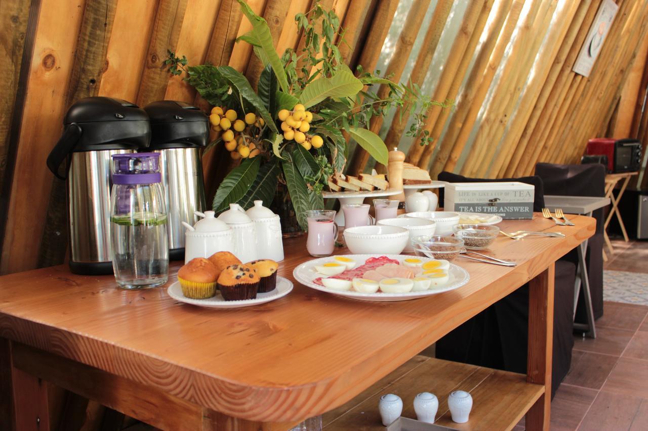 Organica Lodge Hotel Boutique Vicuña 外观 照片