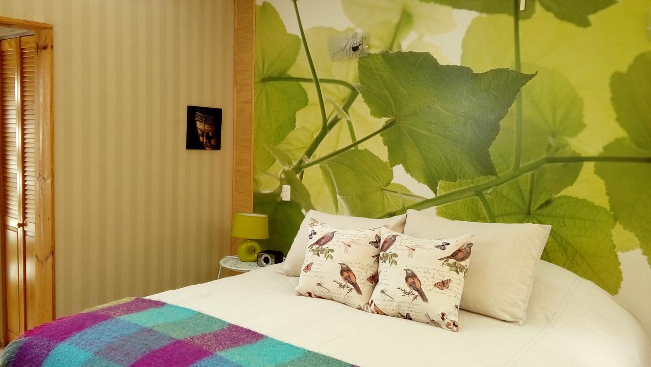 Organica Lodge Hotel Boutique Vicuña 外观 照片